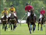Argentina open polo championship
