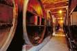 Mendoza - Wine tours - Sky - Aconcagua