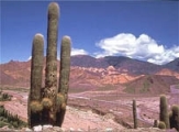 Jujuy - Salta - Argentina