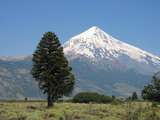 Andes vulcanoes in Neuquen